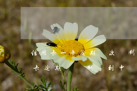 信用卡一年逾期兩次會影響房貸(有兩筆信用卡逾期過會影響到申請房貸嗎)