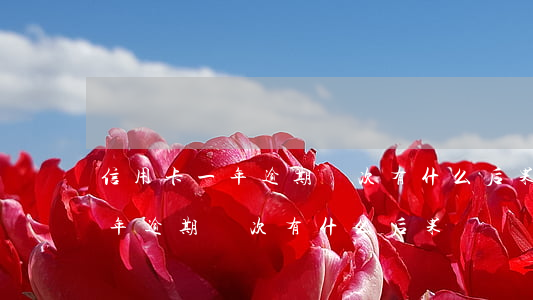 信用卡一年逾期兩次有什么后果-信用卡一年逾期兩次有什么后果嗎