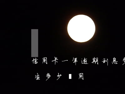 信用卡一年逾期利息多少(信用卡逾期一年產生多少費用)