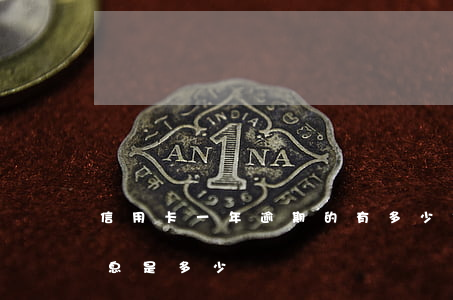 信用卡一年逾期的有多少(信用卡逾期一年利息是多少)