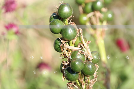 信用卡一张欠两万多-信用卡一张欠两万多会起诉吗