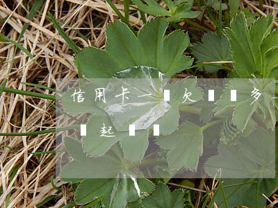 信用卡一張欠兩萬多-信用卡一張欠兩萬多會起訴嗎