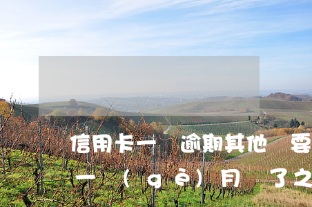 信用卡一張逾期其他還要還嗎(我信用卡逾期一個(gè)月,還了之后還能用嗎)