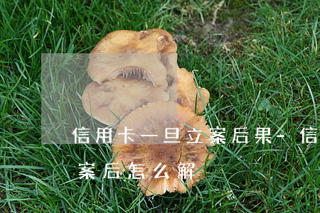信用卡一旦立案后果-信用卡逾期被起訴立案后怎么解決