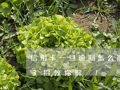 信用卡一旦逾期怎么辦(信用卡逾期怎么辦?這3招教你解決!)