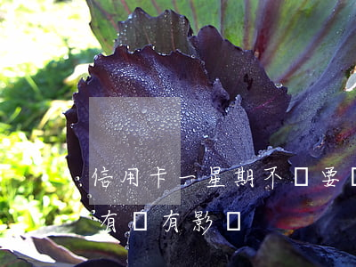 信用卡一星期不還要緊嗎(信用卡晚還了一周有沒有影響)