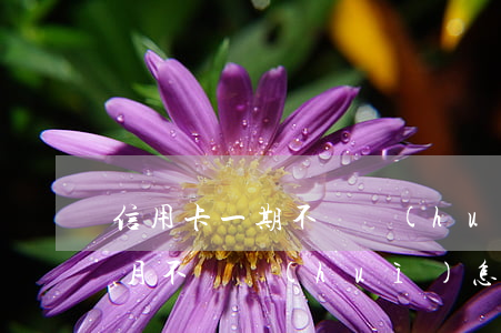 信用卡一期不還會(huì)怎樣(信用卡一月不還會(huì)怎樣)