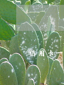 信用卡一期沒還上逾期怎么辦