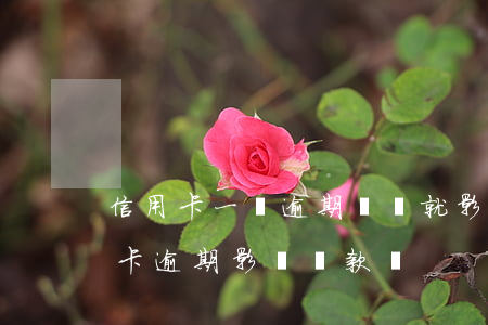 信用卡一條逾期記錄就影響貸款(有一次信用卡逾期影響貸款嗎)