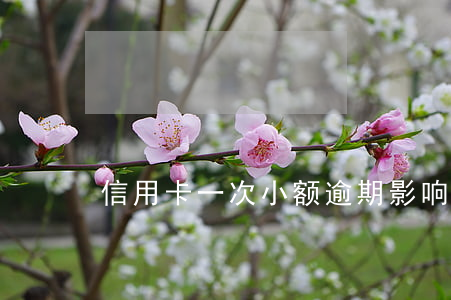 信用卡一次小额逾期影响房贷吗