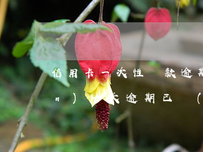 信用卡一次性還款逾期(信用卡出現(xiàn)一次逾期已經(jīng)還了怎么消除逾期)