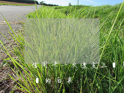 信用卡一次透支三個月還(信用卡透支3萬不還的后果)