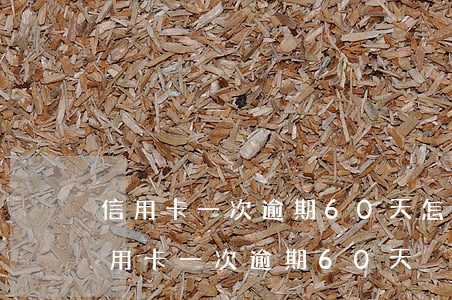 信用卡一次逾期60天怎么計(jì)算（信用卡一次逾期60天）