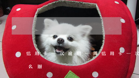 信用卡一次逾期一周(信用卡一次逾期一周怎么辦)