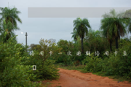 信用卡 一次逾期（信用卡至是逾期一次會影響嗎）