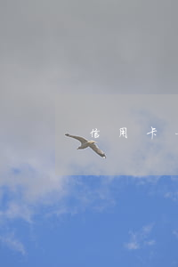 信用卡一次逾期 信貸(信用卡 逾期 一次)