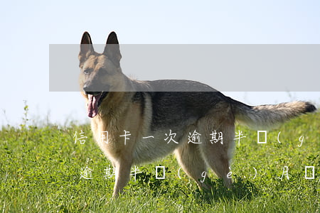 信用卡一次逾期半個(gè)月(信用卡一次逾期半個(gè)月會影響公積金)