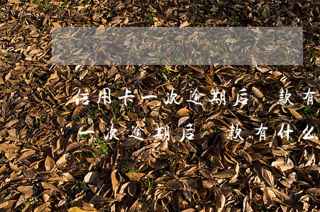 信用卡一次逾期后還款有什么影響-信用卡一次逾期后還款有什么影響嗎