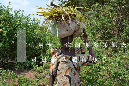 信用卡一次逾期多久能恢复(信用有过逾期记录过多久能再办卡)