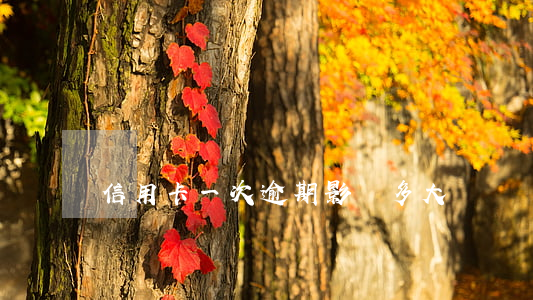 信用卡一次逾期影響多大