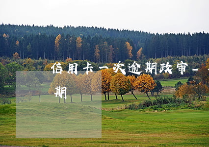 信用卡一次逾期政审-事业编政审信用卡逾期