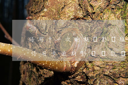 信用卡一次逾期會影響征信嗎-征信有一筆信用卡逾期影響貸款嗎