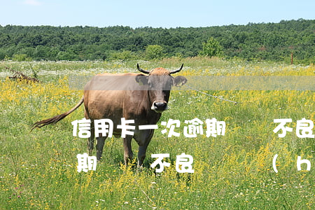 信用卡一次逾期沒還不良記錄(信用卡一次逾期沒還不良記錄會(huì)消除嗎)