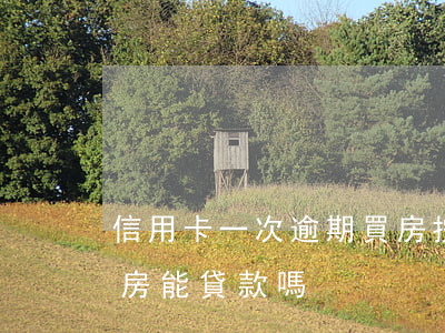 信用卡一次逾期買房按揭(信用卡逾期一次買房能貸款嗎)