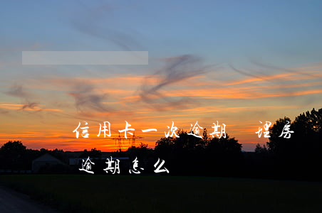信用卡一次逾期辦理房貸(房貸銀行的信用卡逾期怎么辦)