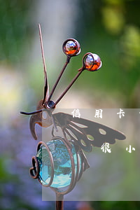 信用卡一次逾期金額很小 信用卡一次逾期金額很小嗎