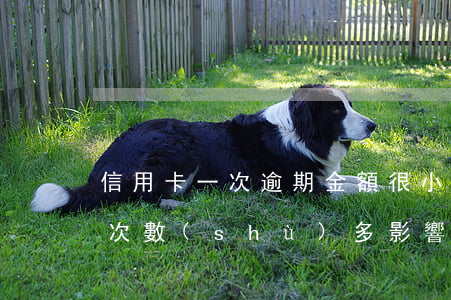 信用卡一次逾期金額很小(信用卡逾期金額小,次數(shù)多,影響貸款嗎?)