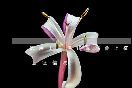 信用卡一毛錢逾期會上征信嗎 一塊錢逾期會上征信嗎