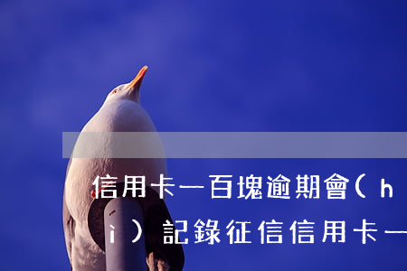 信用卡一百塊逾期會(huì)不會(huì)記錄征信(信用卡一百塊逾期會(huì)不會(huì)記錄征信)