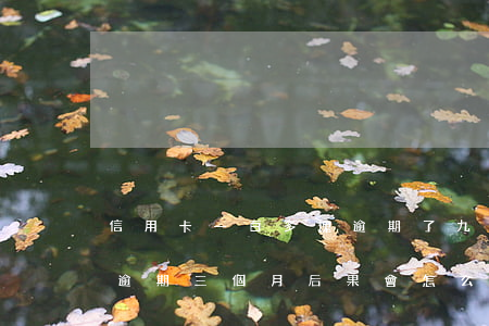 信用卡一百多塊逾期了九天(欠信用卡九千元逾期三個月后果會怎么樣)