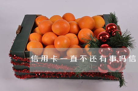 信用卡一直不还有事吗(信用卡长时间不还)