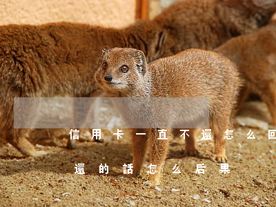 信用卡一直不還怎么回事(如果信用卡一直不還的話怎么后果)