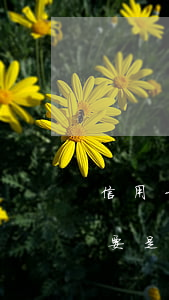信用卡一直不還會(huì)怎么樣(信用卡要是一直不還會(huì)怎么樣)