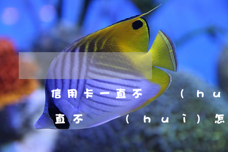 信用卡一直不還會(huì)怎樣(信用卡一直不還會(huì)怎樣?)