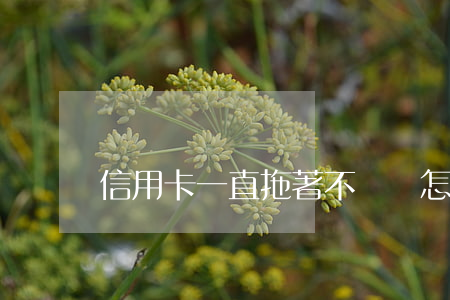 信用卡一直拖著不還會怎樣