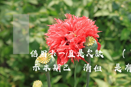 信用卡一直是欠款狀態(tài)(信用卡顯示本期已還清,但還是有欠款)