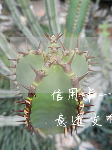 信用卡一直正常透支犯法嗎(什么叫信用卡惡意透支啊)