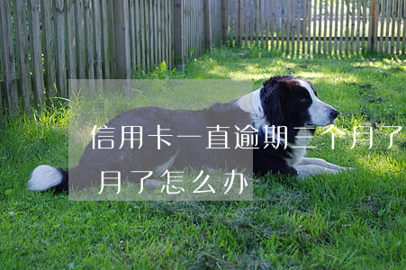 信用卡一直逾期三个月了(信用卡逾期3个多月了怎么办)