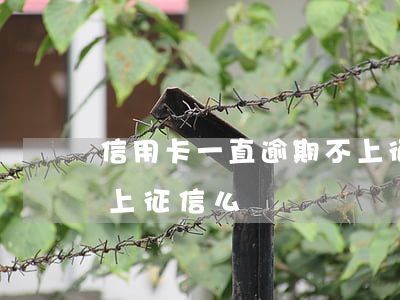信用卡一直逾期不上征信(不上征信的逾期會上征信么)