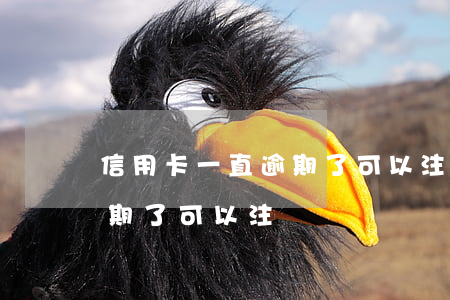 信用卡一直逾期了可以注銷嗎(信用卡一直逾期了可以注銷嗎嗎)
