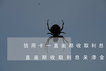 信用卡一直逾期收取利息呆滯金-信用卡一直逾期收取利息呆滯金怎么辦