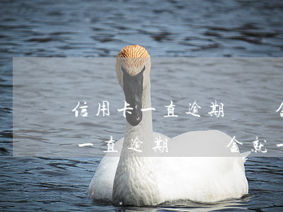信用卡一直逾期違約金就一直收嗎-信用卡一直逾期違約金就一直收嗎怎么辦
