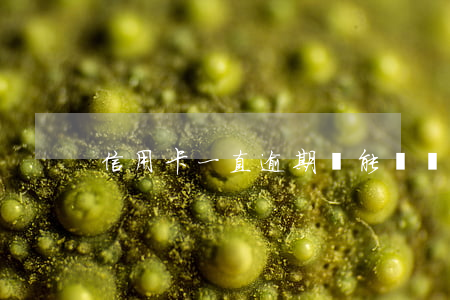 信用卡一直逾期還能辦車貸嗎
