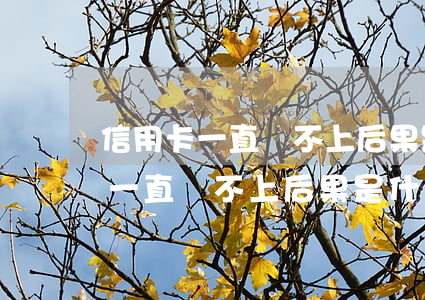 信用卡一直還不上后果是什么樣子-信用卡一直還不上后果是什么樣子的