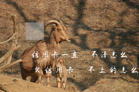 信用卡一直還不清怎么辦(現(xiàn)在欠信用卡還不上的怎么處理)