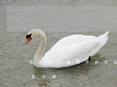信用卡一直還不起怎么辦(信用卡都還不起了怎么辦)